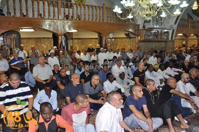 mahmoudiaya 3eda (50).JPG